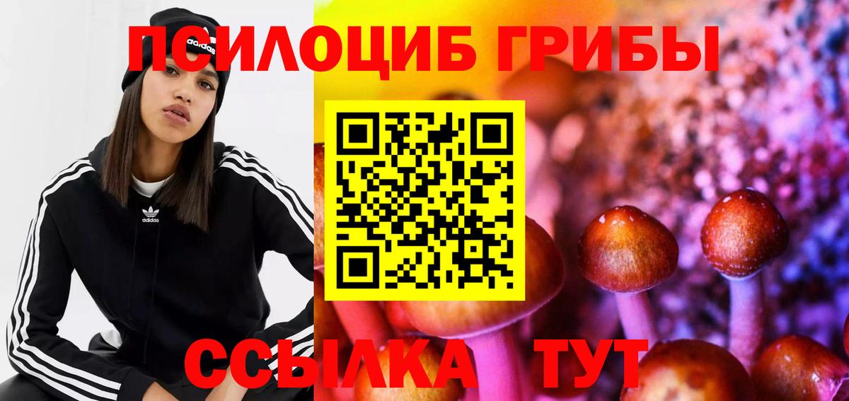купить наркотики цена  Псилоцибиновые грибы мицелий  Вход с VPN  Кимры 